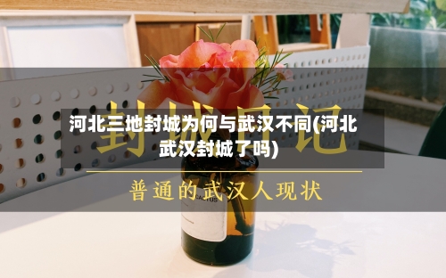 河北三地封城为何与武汉不同(河北武汉封城了吗)-第3张图片