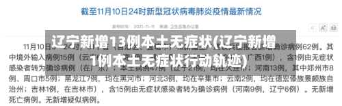 辽宁新增13例本土无症状(辽宁新增1例本土无症状行动轨迹)-第2张图片