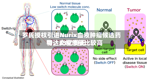 罗氏授权引进Nurix血液肿瘤候选药物，交易总额比较高可达23亿美元