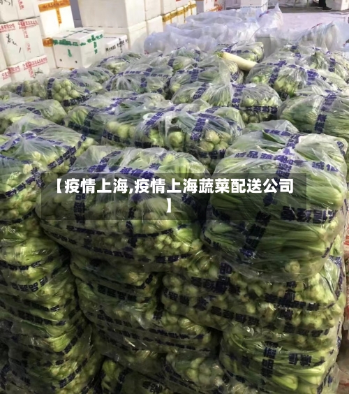 【疫情上海,疫情上海蔬菜配送公司】-第2张图片