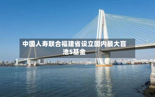 中国人寿联合福建省设立国内最大盲池S基金-第2张图片