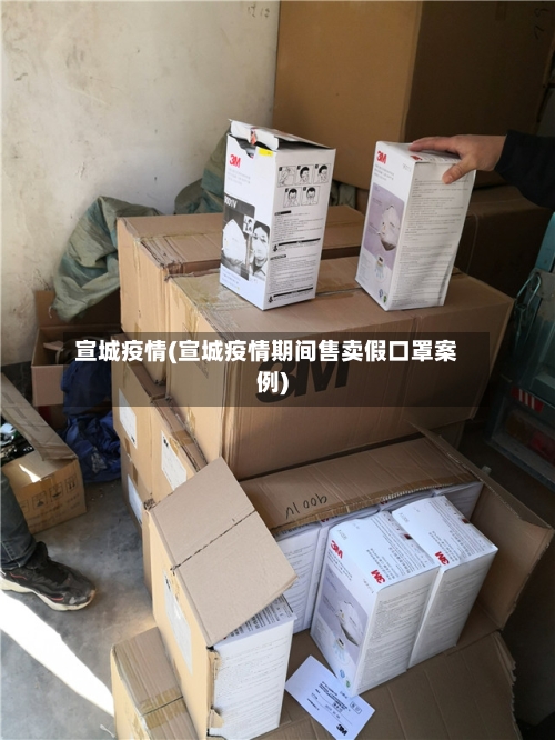 宣城疫情(宣城疫情期间售卖假口罩案例)-第2张图片