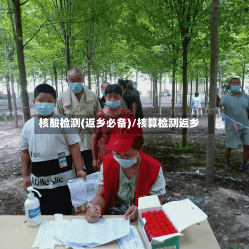 核酸检测(返乡必备)/核算检测返乡-第2张图片