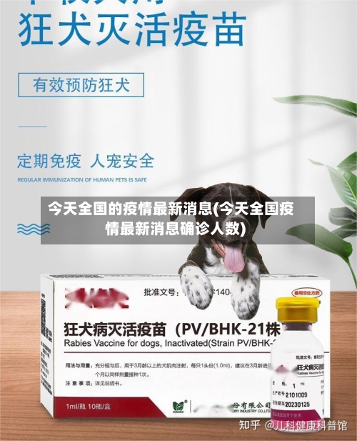 今天全国的疫情最新消息(今天全国疫情最新消息确诊人数)-第3张图片