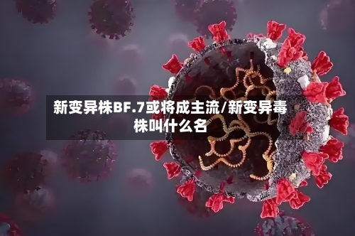 新变异株BF.7或将成主流/新变异毒株叫什么名-第3张图片