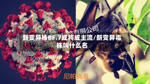 新变异株BF.7或将成主流/新变异毒株叫什么名