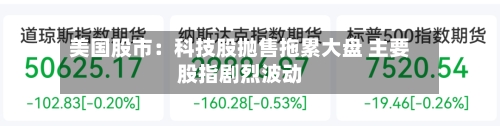 美国股市：科技股抛售拖累大盘 主要股指剧烈波动
