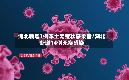 湖北新增1例本土无症状感染者/湖北新增14例无症感染