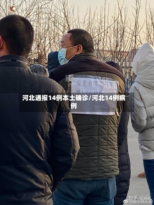 河北通报14例本土确诊/河北14例病例-第2张图片