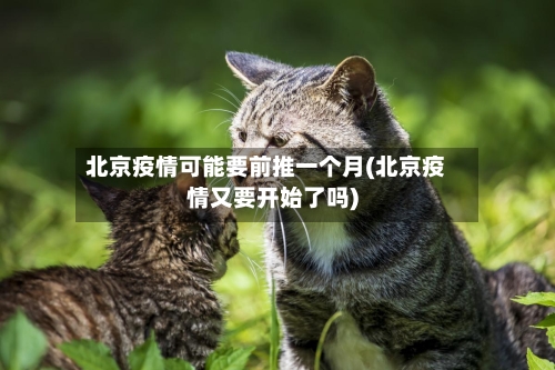 北京疫情可能要前推一个月(北京疫情又要开始了吗)-第2张图片