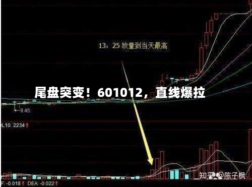 尾盘突变！601012，直线爆拉