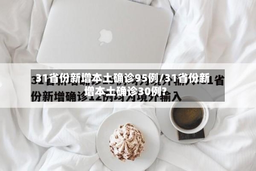 31省份新增本土确诊95例/31省份新增本土确诊30例?-第2张图片