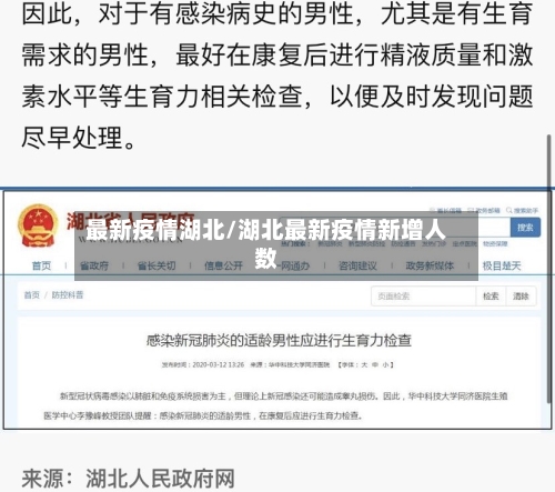 最新疫情湖北/湖北最新疫情新增人数-第2张图片