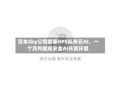 日本Sky公司部署HPE私有云AI，一个月内建成安全AI开发环境