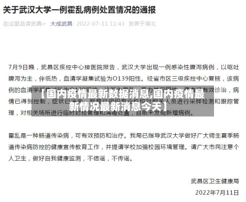 【国内疫情最新数据消息,国内疫情最新情况最新消息今天】-第2张图片