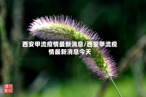 西安甲流疫情最新消息/西安甲流疫情最新消息今天-第3张图片
