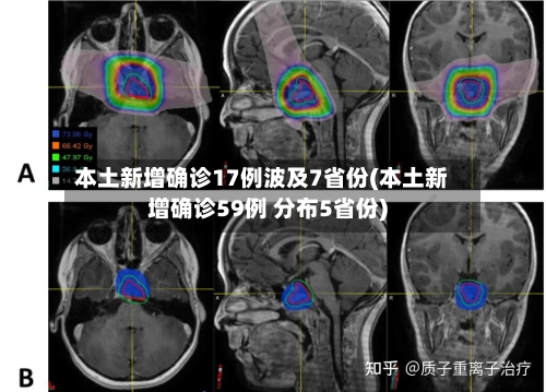 本土新增确诊17例波及7省份(本土新增确诊59例 分布5省份)-第3张图片