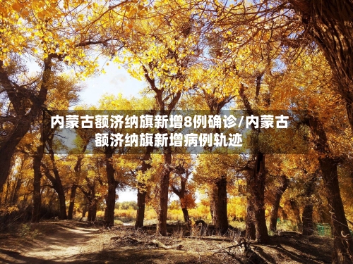 内蒙古额济纳旗新增8例确诊/内蒙古额济纳旗新增病例轨迹