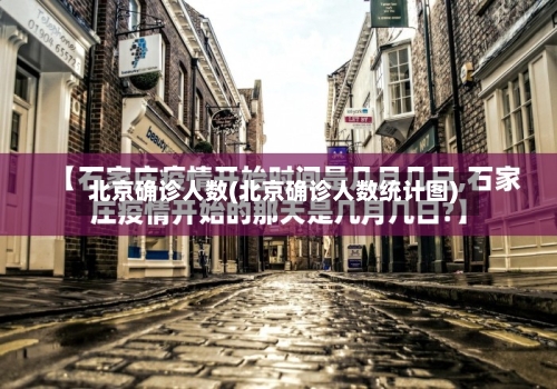 北京确诊人数(北京确诊人数统计图)-第2张图片