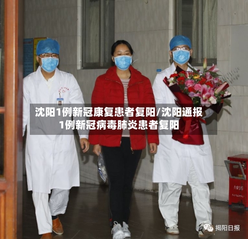 沈阳1例新冠康复患者复阳/沈阳通报1例新冠病毒肺炎患者复阳-第3张图片