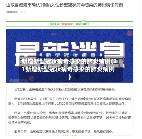 新增新型冠状病毒感染的肺炎病例(31新增新型冠状病毒感染的肺炎病例)-第2张图片