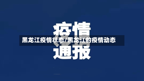 黑龙江疫情状态/黑龙江的疫情动态-第2张图片