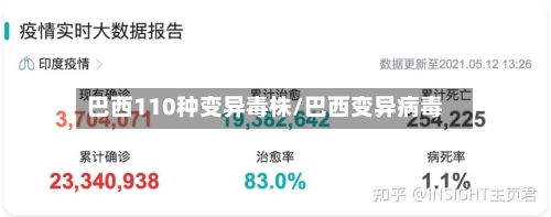 巴西110种变异毒株/巴西变异病毒