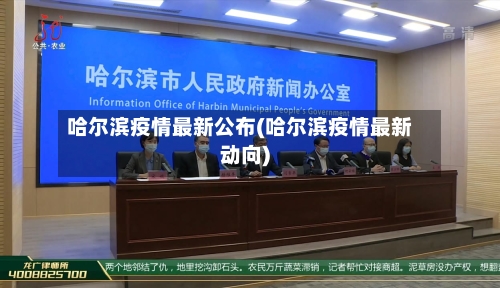 哈尔滨疫情最新公布(哈尔滨疫情最新动向)-第2张图片