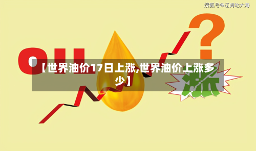 【世界油价17日上涨,世界油价上涨多少】-第2张图片