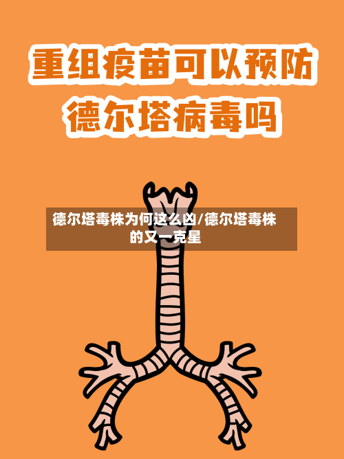 德尔塔毒株为何这么凶/德尔塔毒株的又一克星