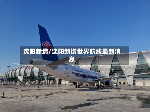 沈阳新增/沈阳新增世界航线最新消息-第2张图片