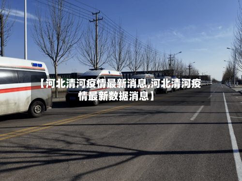 【河北清河疫情最新消息,河北清河疫情最新数据消息】-第2张图片