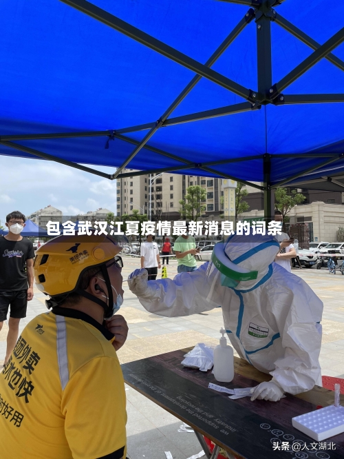 包含武汉江夏疫情最新消息的词条