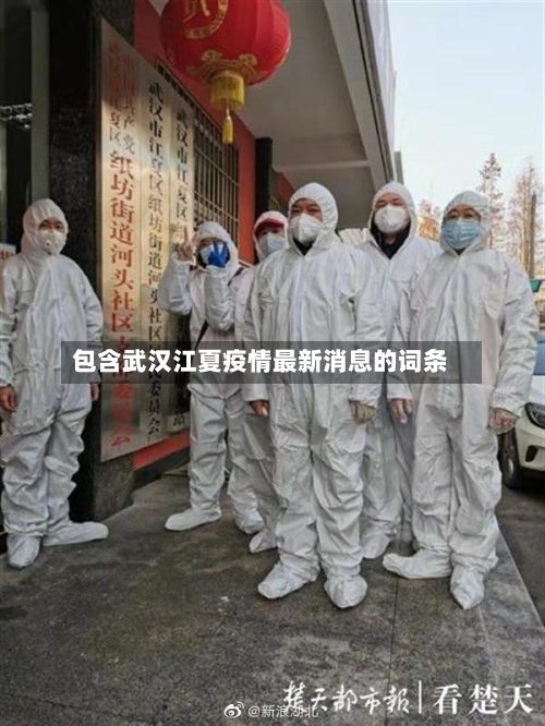 包含武汉江夏疫情最新消息的词条-第2张图片