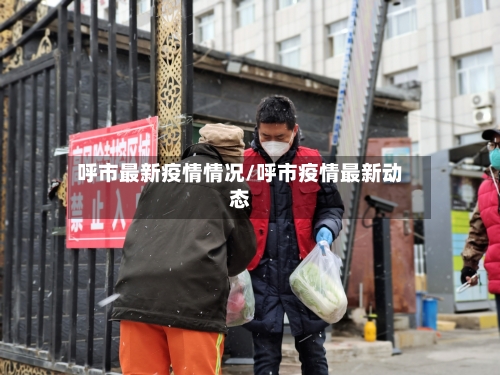 呼市最新疫情情况/呼市疫情最新动态-第2张图片