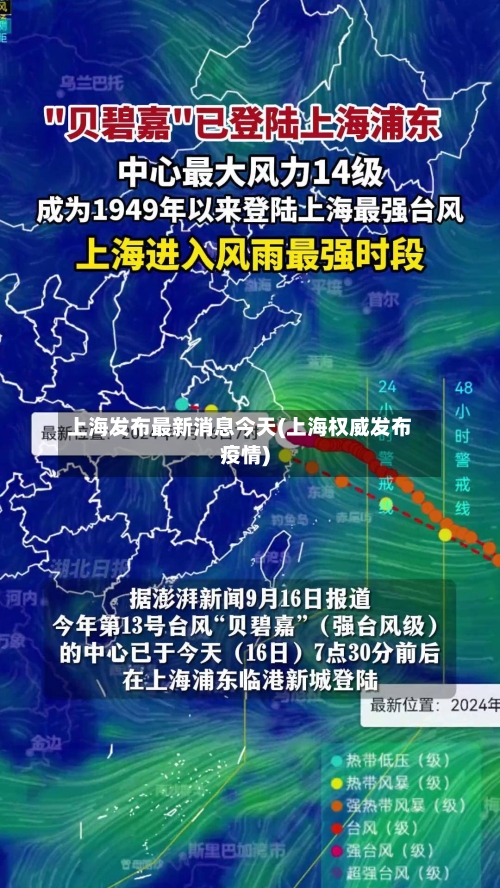 上海发布最新消息今天(上海权威发布疫情)-第2张图片