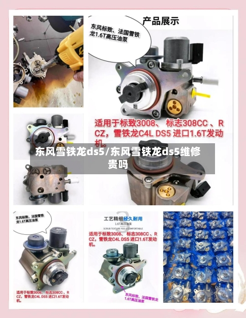 东风雪铁龙ds5/东风雪铁龙ds5维修贵吗
