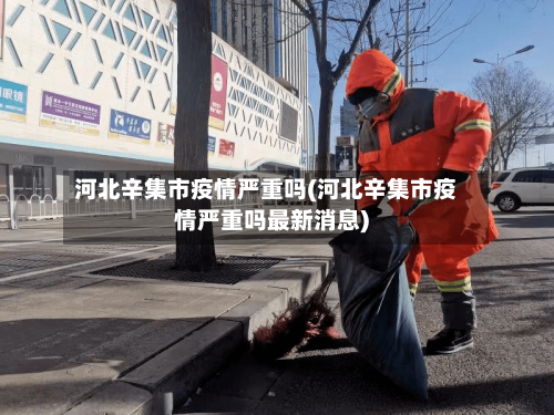 河北辛集市疫情严重吗(河北辛集市疫情严重吗最新消息)