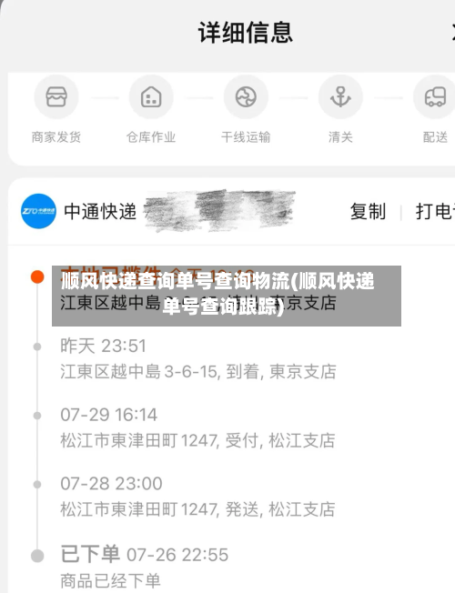 顺风快递查询单号查询物流(顺风快递单号查询跟踪)-第2张图片