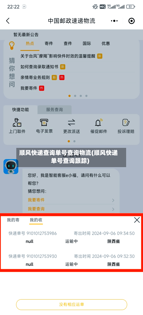 顺风快递查询单号查询物流(顺风快递单号查询跟踪)