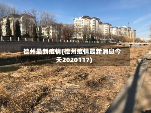 德州最新疫情(德州疫情最新消息今天2020117)