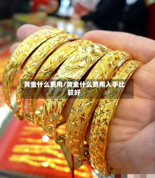 黄金什么费用/黄金什么费用入手比较好