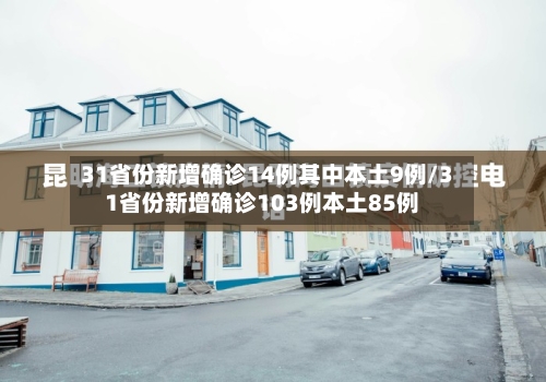 31省份新增确诊14例其中本土9例/31省份新增确诊103例本土85例
