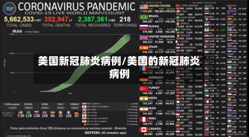 美国新冠肺炎病例/美国的新冠肺炎病例