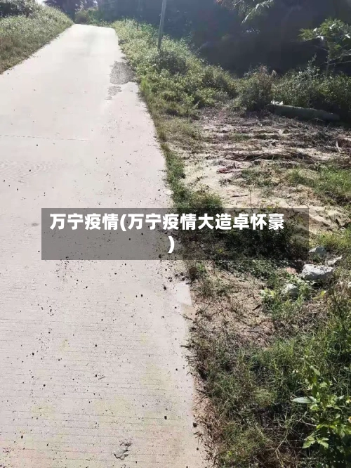 万宁疫情(万宁疫情大造卓怀豪)-第3张图片