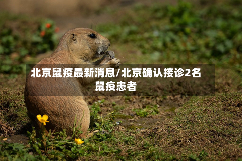 北京鼠疫最新消息/北京确认接诊2名鼠疫患者