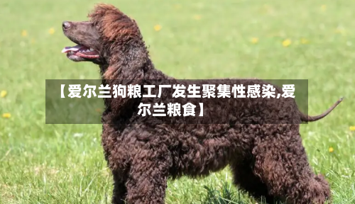 【爱尔兰狗粮工厂发生聚集性感染,爱尔兰粮食】