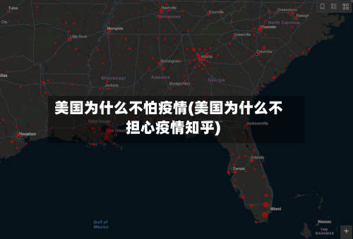 美国为什么不怕疫情(美国为什么不担心疫情知乎)-第3张图片