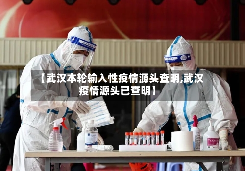 【武汉本轮输入性疫情源头查明,武汉疫情源头已查明】