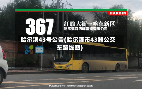 哈尔滨43号公告(哈尔滨市43路公交车路线图)-第3张图片